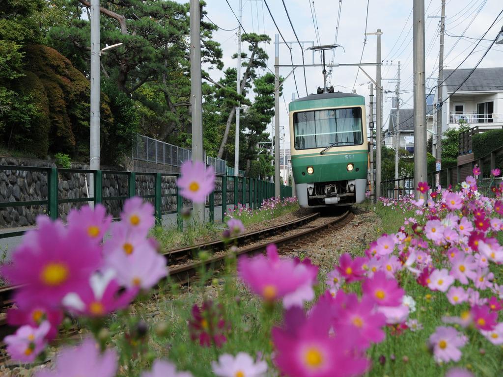 Sotetsu Fresa Inn Fujisawa Shonandai Екстер'єр фото